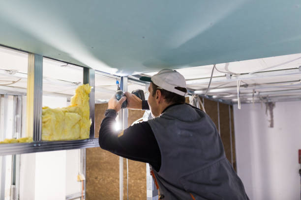 Best Insulation Maintenance and Repair in Corrales, NM