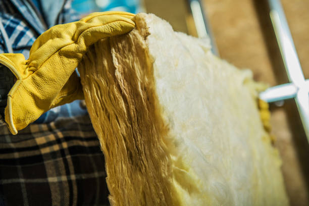 Best Commercial Insulation in Corrales, NM